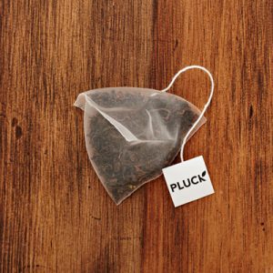 Pluck Masala Chai Tea