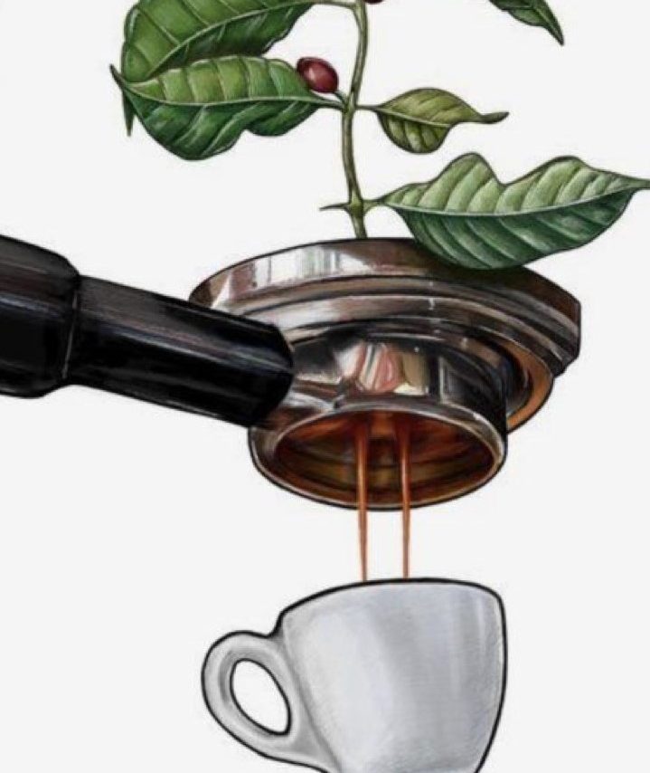 From Bean to Cup - Planet Coffee Roasters